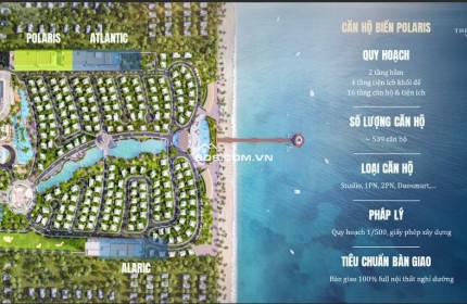 DỰ ÁN NHÀ PHỐ, CĂN HỘ GOLD COAST VŨNG TÀU